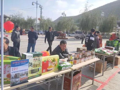 舌尖上的綠色 高原遺珍，狀元故里——會寧小雜糧狀元食品暨民俗文化產(chǎn)品展銷會與電子商務(wù)推介會紀(jì)實