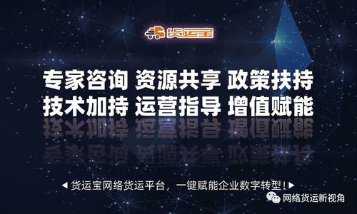 網(wǎng)絡(luò)貨運(yùn)時(shí)代 軟件技術(shù)與信息咨詢服務(wù)的雙輪驅(qū)動